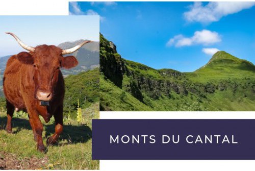 camping monts du cantal