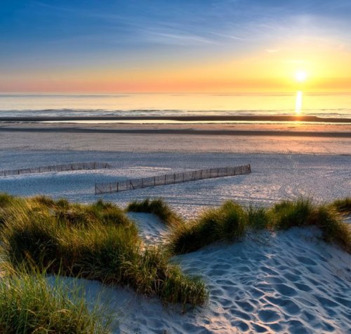 Campsite La Tranche sur Mer